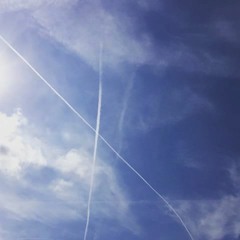 素敵かしら