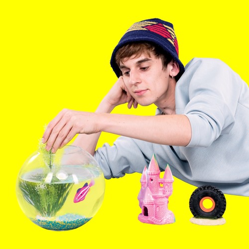 Fish Bowl