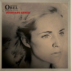 Agnes Obel - Riverside (Poontang Remix)