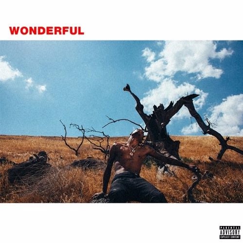 Wonderful Remix (TRICKS X Prep)