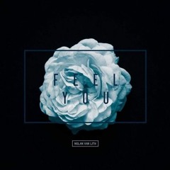 Nolan Van Lith - Feel You