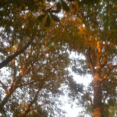 Loose your self for just four minutes