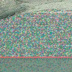 SSR Podcast "Future Replication"