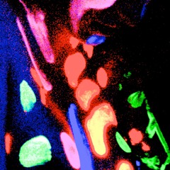 Cooking Song (To Walk Slowly)