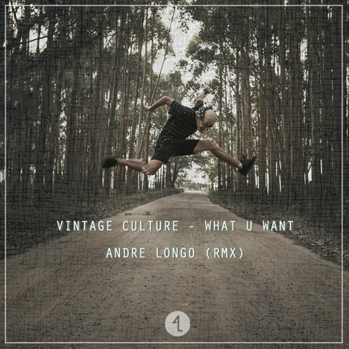 Vintage Culture - What u Want ( Andre Longo RMX)