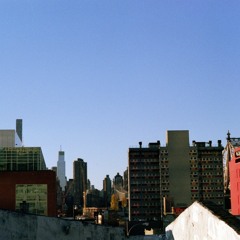 catching a butterfly