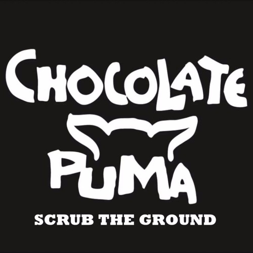 Stream Chocolate Puma & Tommie Sunshine - Scrub The Ground ft. DJ Funk  (Deevey bootleg) by Spicy Deevey | Listen online for free on SoundCloud
