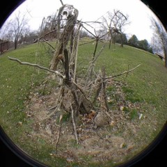 Sinister Senile Rubbished