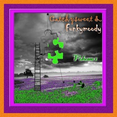 Catchysweet & Funkymoody1 (Finnstrumentalbeats)