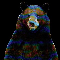 GrizzlyBear X Rocky