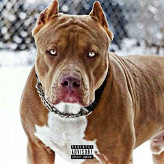 D.A.W.G.$ - A. Major x Xay x Mawluno