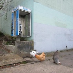 Outgoing Menu Sampler