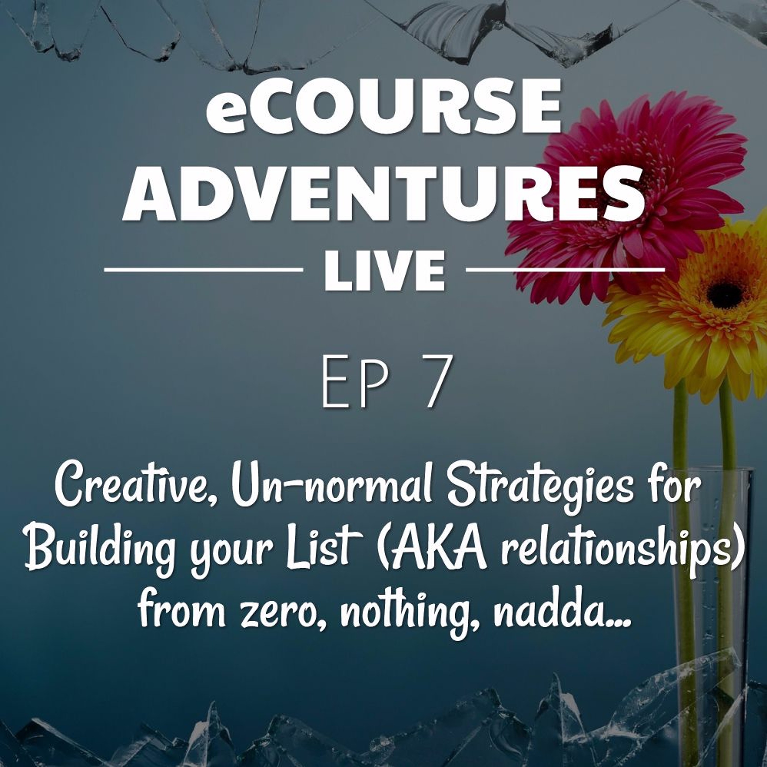 eCourse Adventures Live ep 7 How to Grow your List (AKA Relationships) from Zero, Nothing, Nadda... episode artwork