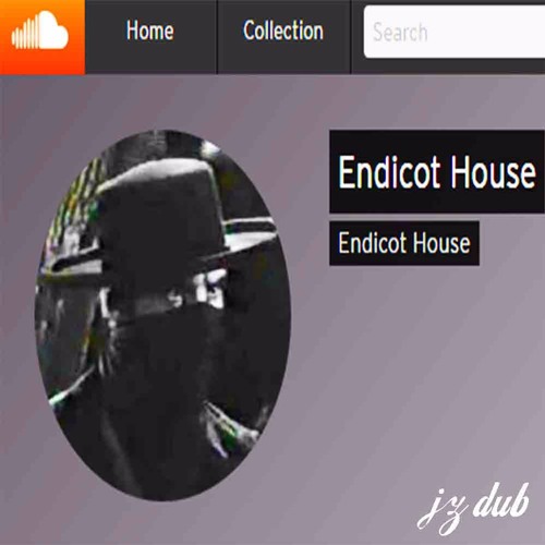 endicot house with brian wilson - we play acid (jz dub)