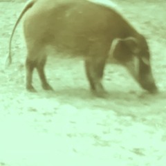 BANGboom (I Hit The Ground)