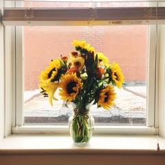 Make You Feel My Love