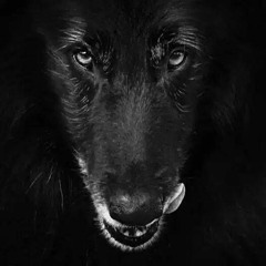 I - 5  VonPetersen Del Mar LIVE Set 2016