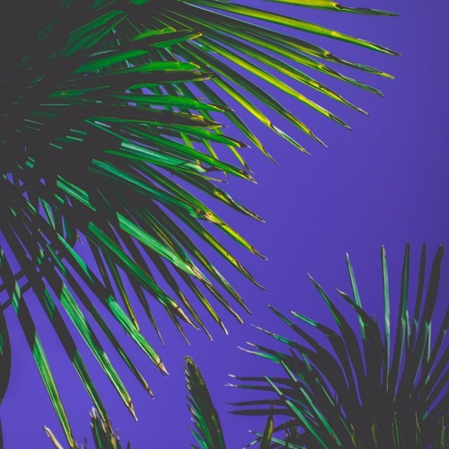 Guido Deb & Thalex - Brown