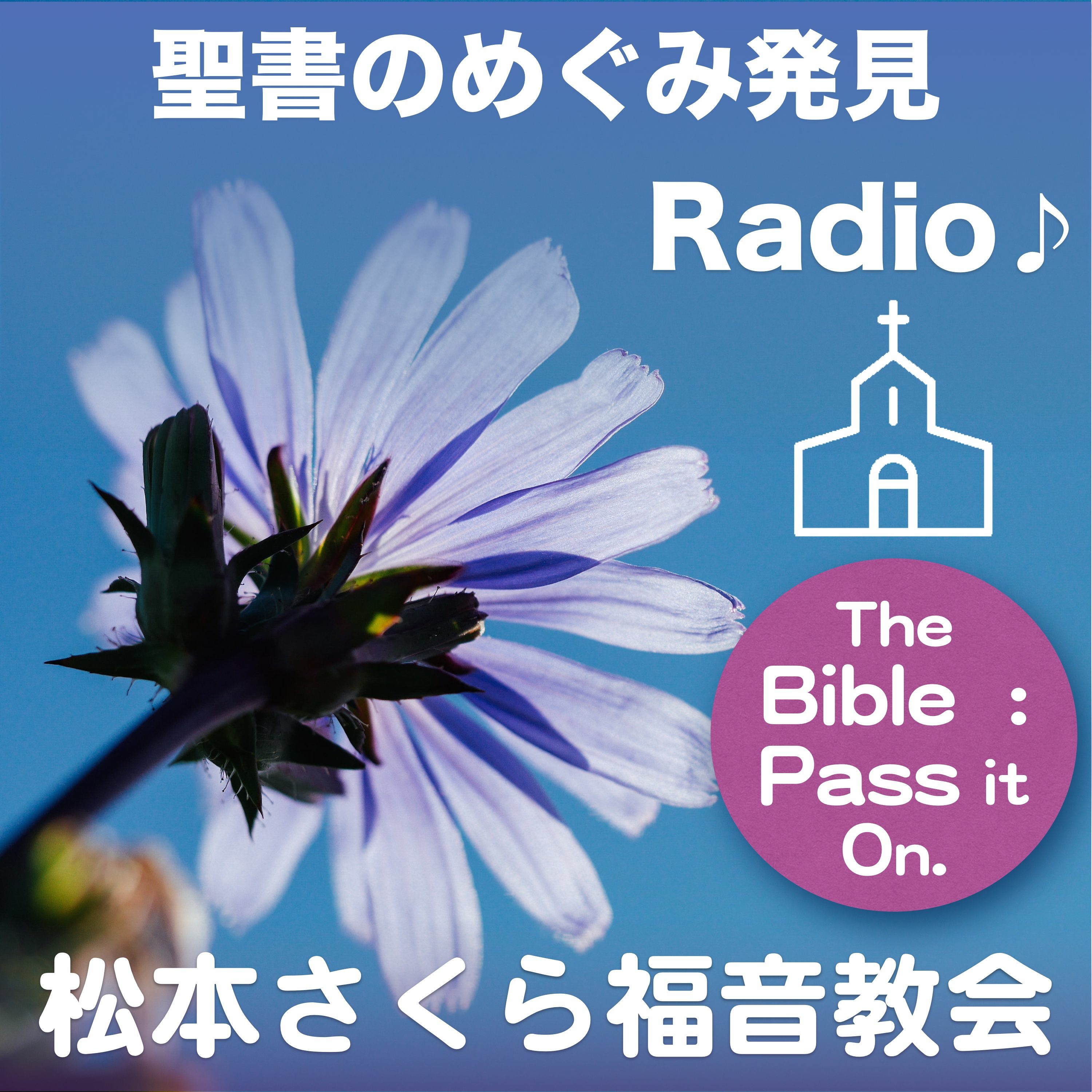 第4回_憐れに思う主。期待される主。 マルコ6章30節~44節 On Podcast