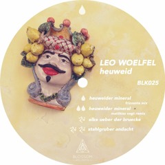 Leo Woelfel - Heuweider Mineral ( Matthias Vogt Remix)