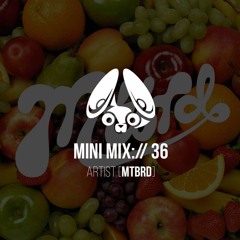Stereofox Mini Mix://36 - Artist [mtbrd]