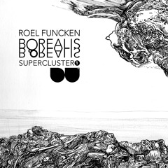 Roel Funcken_Borealis Supercluster part 1