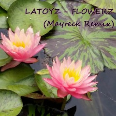 Latoyz - Flowerz (Mayreck Remix)