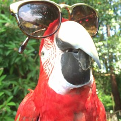 OUTSIDE MY MIND (ruff no mix)