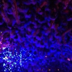 Bodie - Upside Down FREE DOWNLOAD