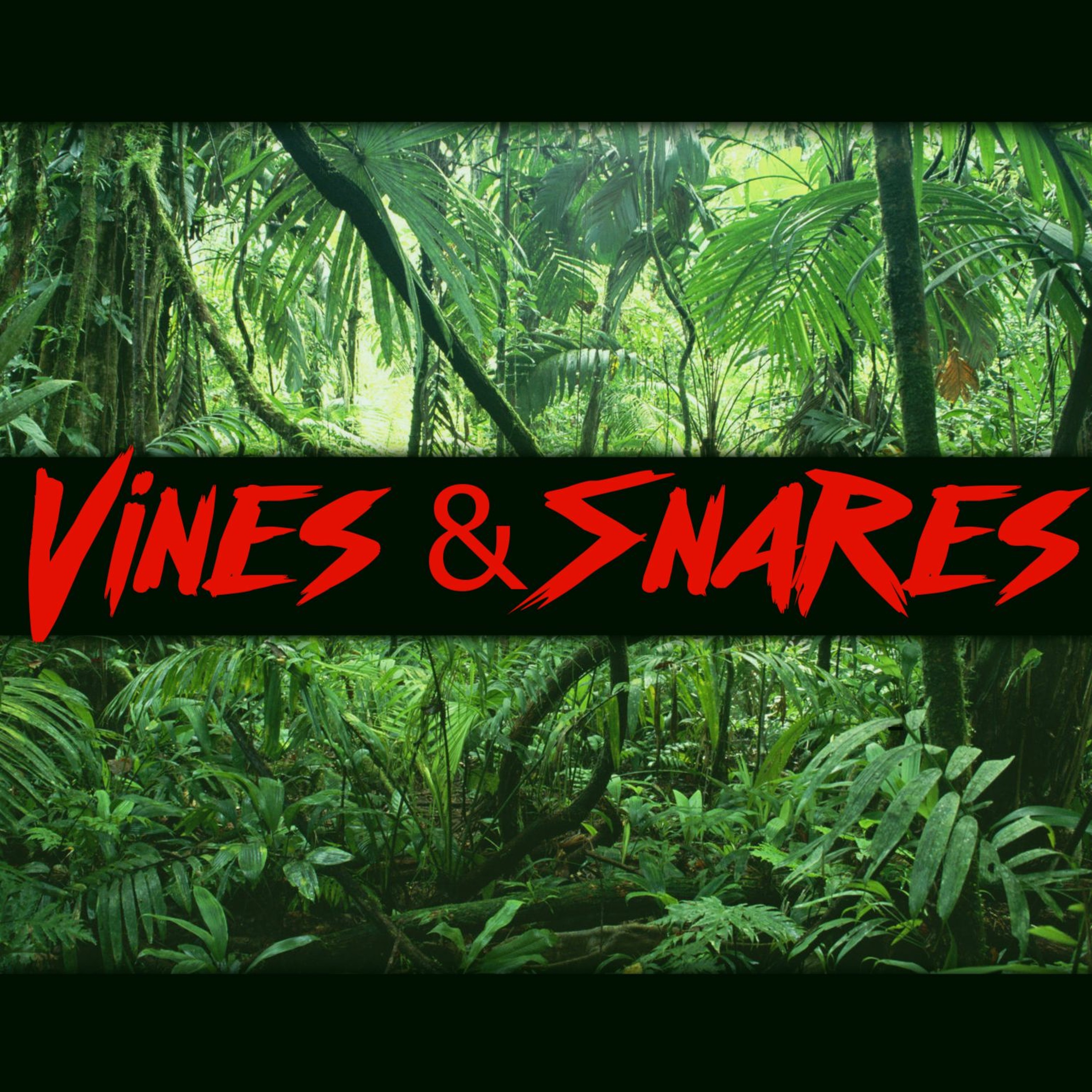 Vines & Snares