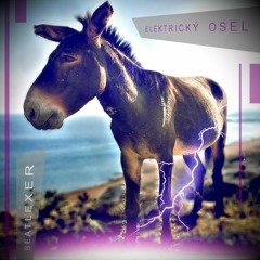 Elektrický Osel