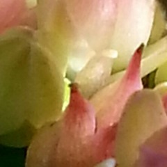 Guitar distortions.m4a