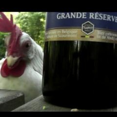 Chicken Chimay3