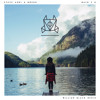Steve Aoki & Boehm (ft. Walk the Moon) - Back 2 U (William Black Remix)