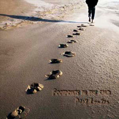 Footprints In The Sand