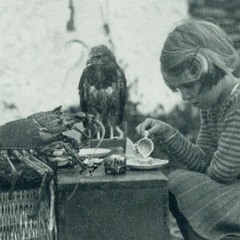 SKYGG - 5000KR (HJRT TKNO NATURE EDITION)