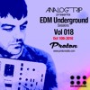 Analog Trip @ EDM Underground Sessions Vol 018 www.protonradio.com 11-10-2016|Free Download
