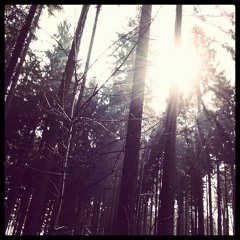 sparkling delights ) jazzy alternative