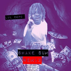 Shake Sum Remix