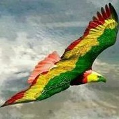 Flying High - Optik, CaliCobra, Kure Ft. Tia (Kure Beats)