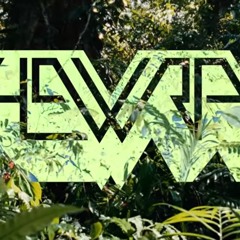 Fo @dnstp Wielki Sos