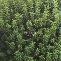 Solange - Rise (Du Noise Remix)