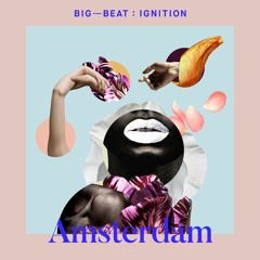 Cobra Effect - Remedy : BIG BEAT IGNITION : Amsterdam