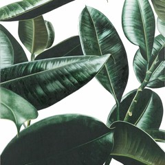 Shot For Me (Drake Medley)