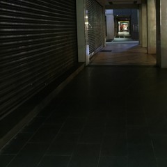 2015.11 死亡