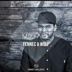 Sweet Melodic Mixtape #11:  Fennec & Wolf