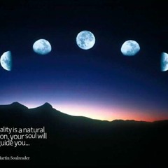 Scriptonyte's Likes ;)