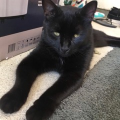 Chilled Smoking On Gas