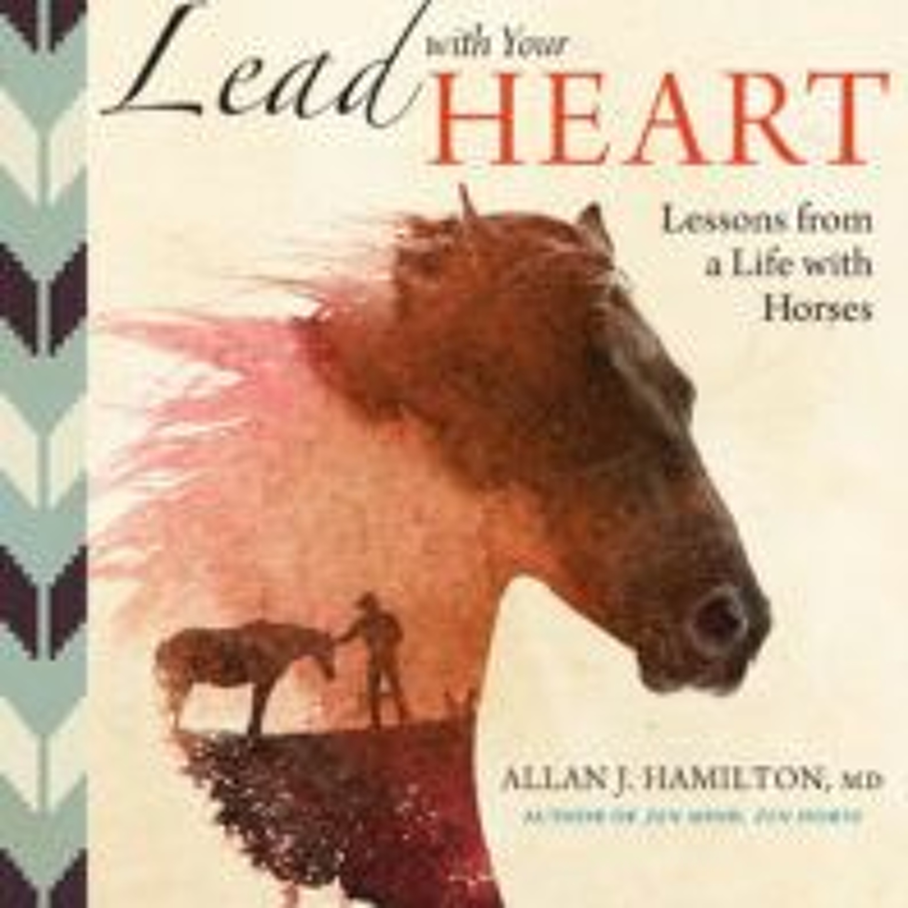 The Magical Mystery Tour Oct 14 2016 Lessons From A Life With Horses Allan Hamilton episode artwork