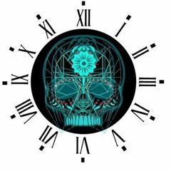Kryptanthus - No Time for Silence (160-210)